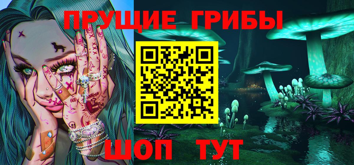 Балахна  Псилоцибиновые грибы Psilocybe  Вход с VPN 